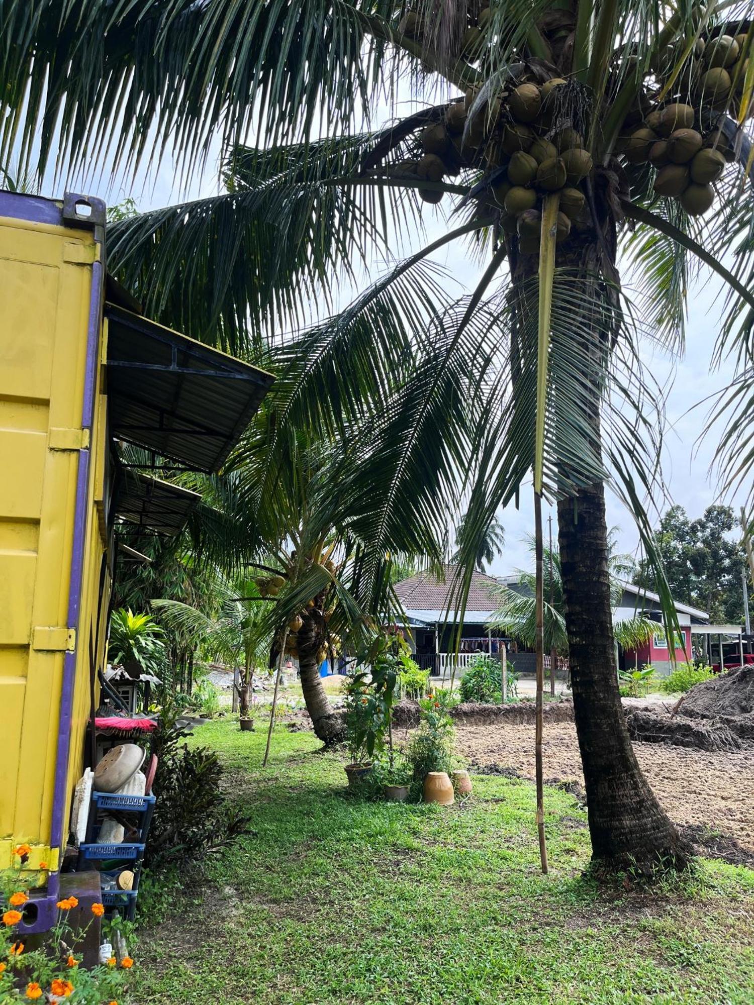 Purple Cube At Lumut Cube Homestay Kontena Ngoại thất bức ảnh